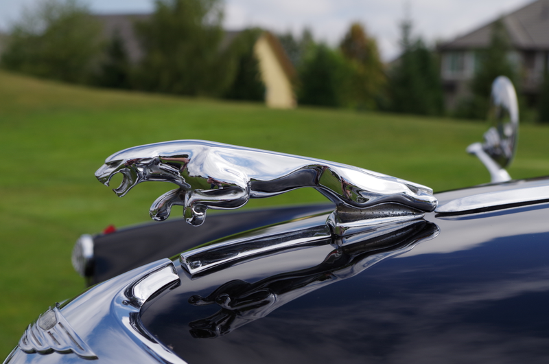 Illustration for article titled Concours on the Green. Eugene, Oregon.